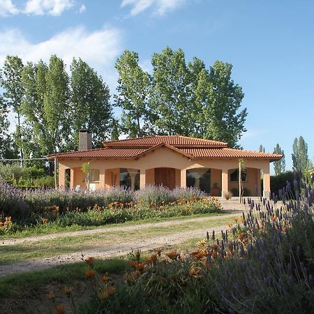 Casona Aventurados Villa Lujan de Cuyo Bagian luar foto