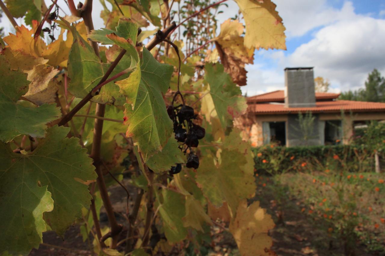 Casona Aventurados Villa Lujan de Cuyo Bagian luar foto