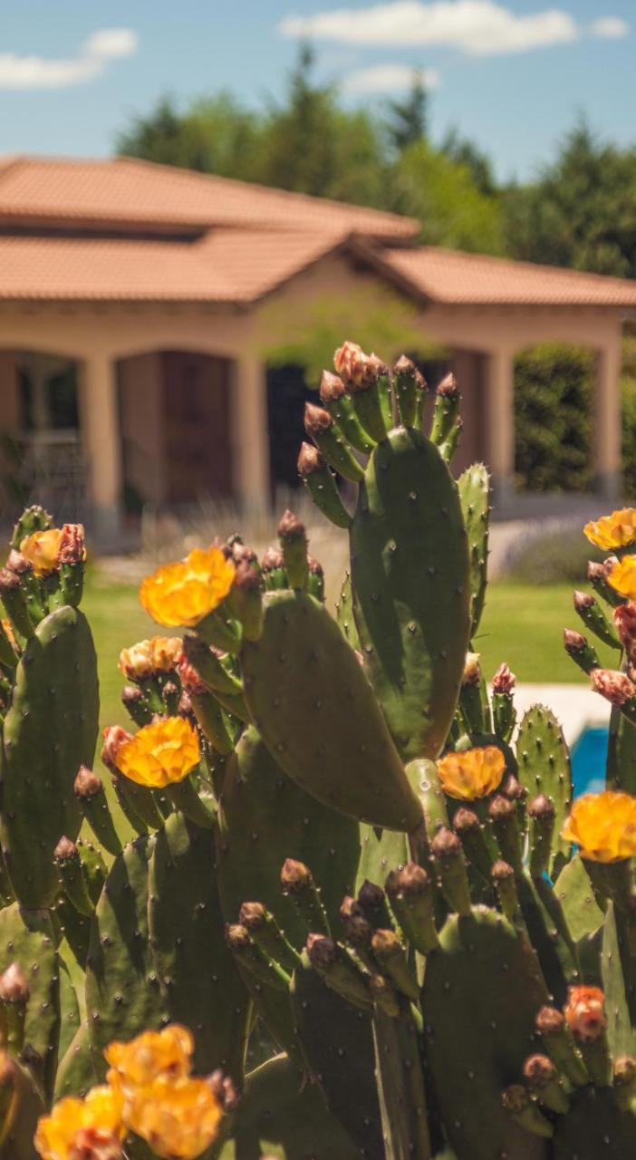 Casona Aventurados Villa Lujan de Cuyo Bagian luar foto