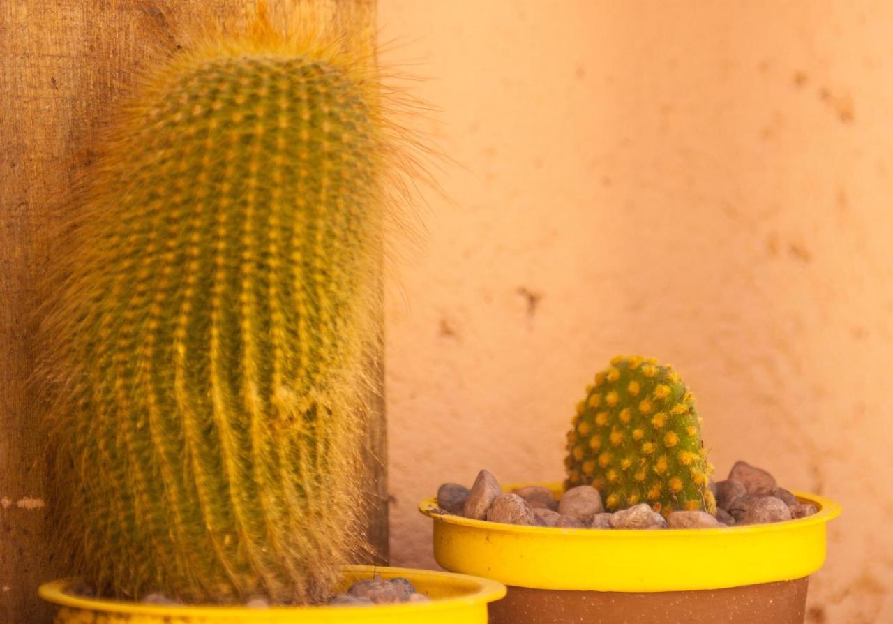 Casona Aventurados Villa Lujan de Cuyo Bagian luar foto